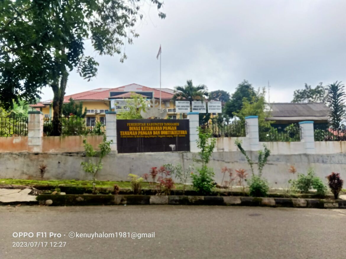 Hebat, Salah Satu Dinas di Kabupaten Tanggamus Lakukan Swadaya Untuk Bangun Rumah Ibadah Berupa Musholla.