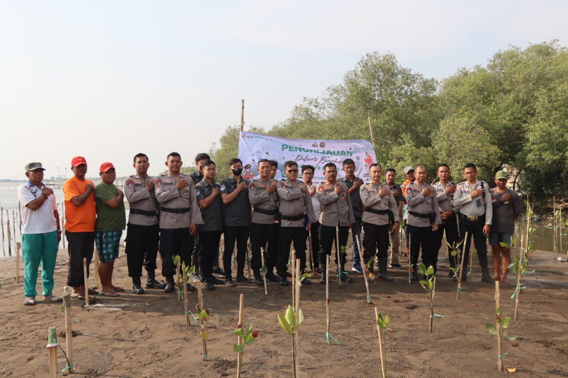 Rangkaian Hut Humas Polri Ke-72,Polres Cirebon Kota Tanam Ratusan Bibit Pohon Mangrove