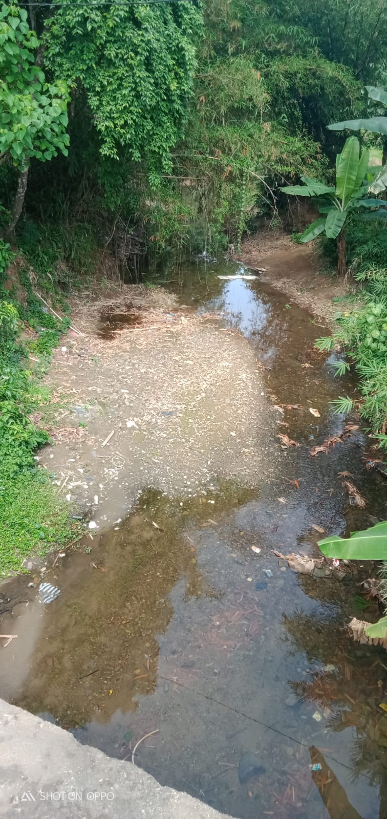 Sungai Cidolog yang kering akibat kemarau tahun ini berdampak pada sawah sawah akan gagal panen