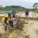 Bajak Lahan Sawah, Babinsa Koramil 0815/08 Dawarblandong Turun Dampingi Petani