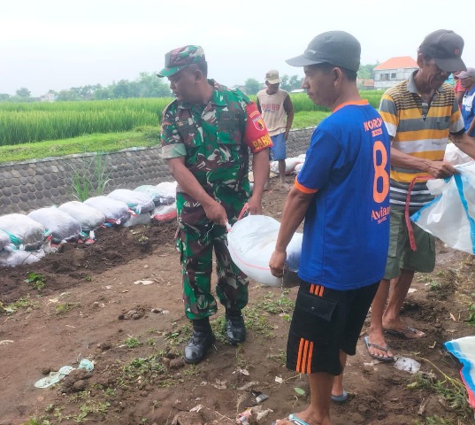 Cegah Terjadinya Luapan Air, Babinsa Sumbersono Bersama Masyarakat Perkuat Dinding Tanggul