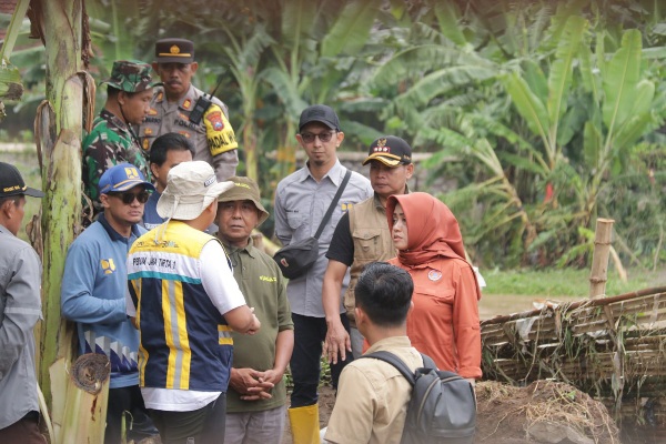 Bupati Ikfina Tinjau Tanggul Jebol, Penyebab Desa Wringinrejo Sooko Terendam Banjir