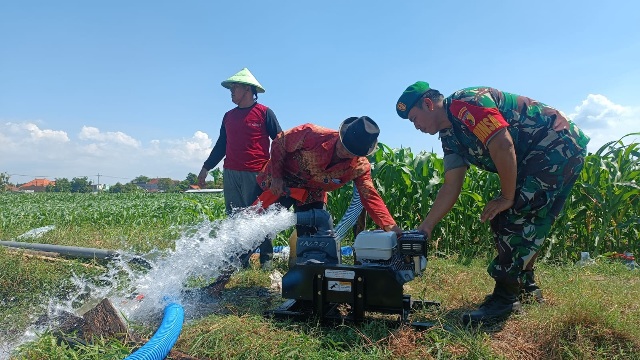 Pompa Air Brigade Alsintan Alirkan Air di Lahan Jagung, Ketua Poktan Tani Makmur : Terima Kasih Bapak Menteri Pertanian Dan Bapak TNI