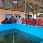 Hari Lahir Pancasila, Perwakilan MPC PP Belitung Kunjungi Budidaya Perikanan Air Payau dan Laut SMK Negeri 1 Selat Nasik