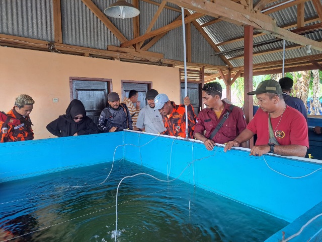 Hari Lahir Pancasila, Perwakilan MPC PP Belitung Kunjungi Budidaya Perikanan Air Payau dan Laut SMK Negeri 1 Selat Nasik