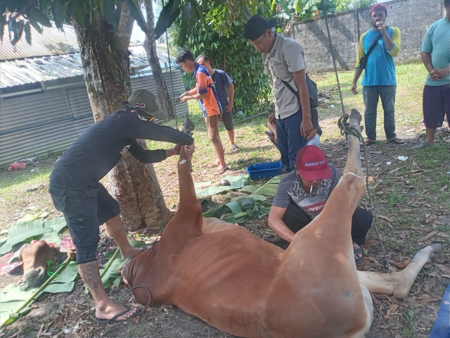 Idul Adha 1445H/Tahun 2024, PWI Belitung Berbagi Daging Qurban