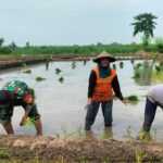 Dukung Ketahanan Pangan, Tiga Pilar Desa Pohkecik Turun Langsung Ke Sawah