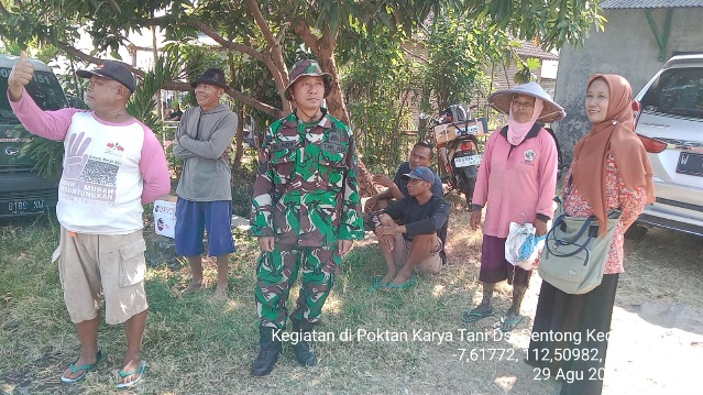 Hanpangan, Babinsa Desa Centong Dampingi Penyemprotan Padi Dengan Teknologi Drone