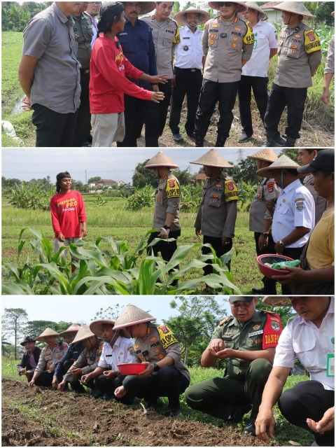 Kapolresta Tangerang Tanam Bibit Jagung Dukung Ketahanan Pangan dan Program Poliran