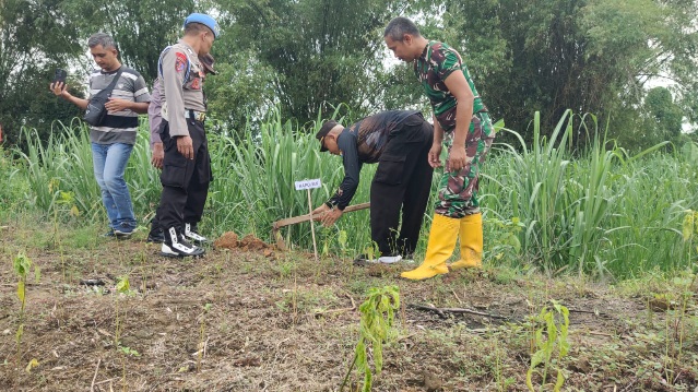 Tingkatkan Ketahanan Wilayah Dari Ancaman Bencana, Koramil 0815/08 Dawarblandong dan Forkopimcam Tanam 225 Pohon