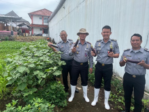 Lapas Kotaagung Panen Terong, Wujud Keberhasilan Pembinaan Kemandirian dalam Mendukung Program Ketahanan Pangan Asta Cita Presiden RI