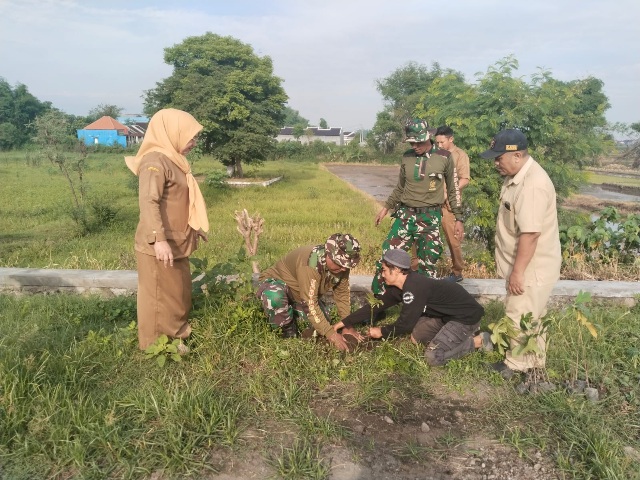 Peduli Kelestarian & Keasrian Alam, Koramil 0815/09 Mojosari Bersama Perangkat – Warga Tanam 150 Pohon di Desa Awang-Awang